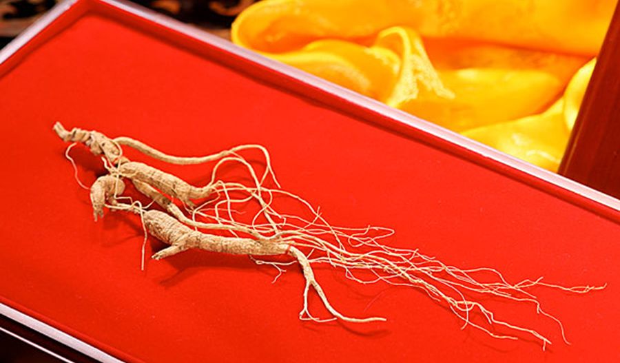 人参功效，鲜吃为妙！